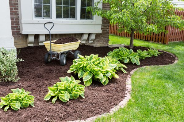 How to Live Your Best Lawn Life: 5 Landscaping Maintenance Tips You Need