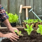 Why is Gardening essential in Home?